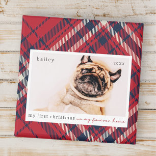 Min första julklapp för hemmapappen magnet