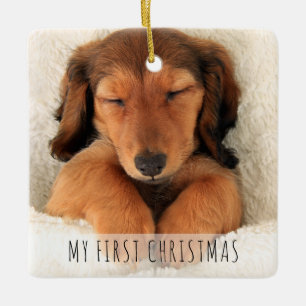 Min första julpuppy-Hund-Fullt är ett blixtfoto Julgransprydnad Keramik