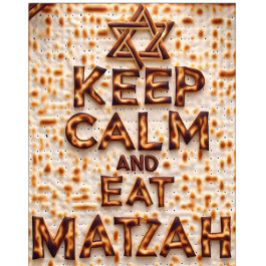 Min första Passover - Behållans lugn och ät Matzah T Shirt