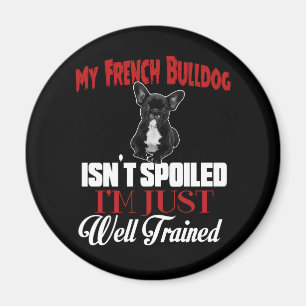Min franska bulldogg är inte bortskämd magnet