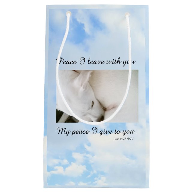 Min fred i Ge, du bibeln full Hund i moln (Framsidan)