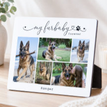 Min Furbaby Forever Vita Husdjur Fem Foto Minnessa
