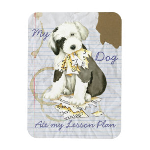 Min gamla engelska Sheepdog Ate my Lesson Plan Magnet
