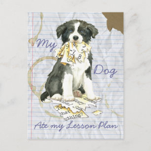 Min Gräns Collie Ate min Lesson-plan Vykort