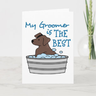 Min Groomer Kort