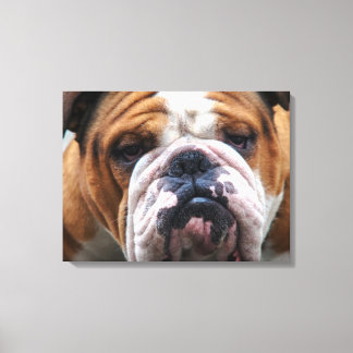 Min grumpy Hund säger Bulldog!!! Canvastryck