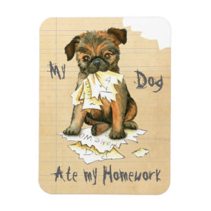 Min hemläxa i Bryssel Griffon Ate Magnet