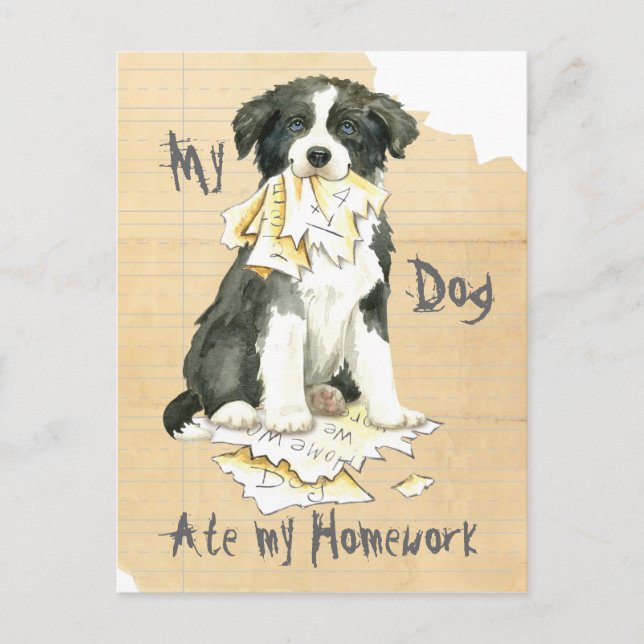 Min hemläxa i Gräns Collie Ate Vykort (Framsida)