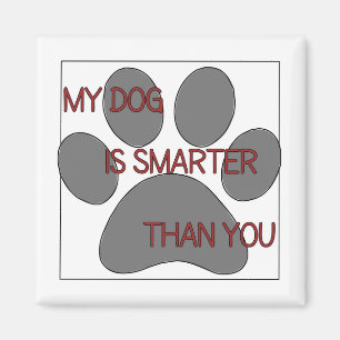 Min hund är mer smart än dig magneten magnet