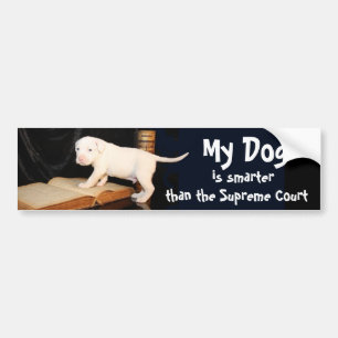 Min hund är mer smart än högsta domstolen bildekal