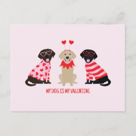 Min Hund är min Valentine Labrador Retriever Hunda Vykort