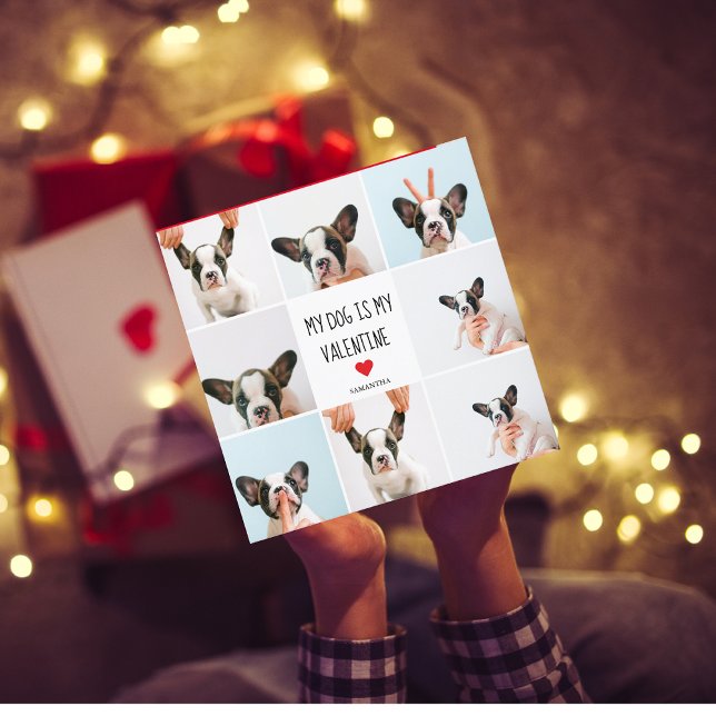 Min Hund är min Valentine | Två Hund foton (Skapare uppladdad)