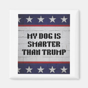 Min Hund är smartare än en trump Magnet