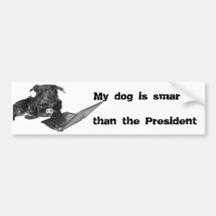 Min hund är smartare än talmannen bildekal