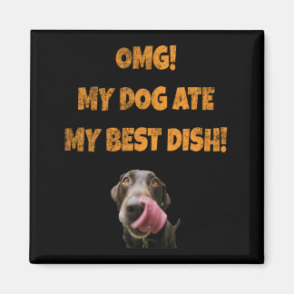 Min hund åt min bästa av rostfritt stål vatten bo magnet