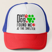 Min Hund hittade mig på Shelter Coola Pet Sarcasti