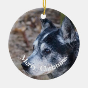 Min hund julprydnad julgransprydnad keramik
