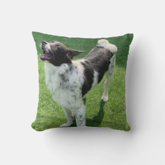 Min hund kudde