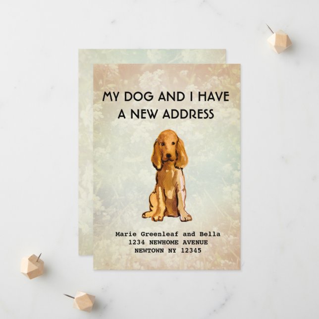 Min hund och jag har flyttat Meddelande (Fram/Back In Situ)