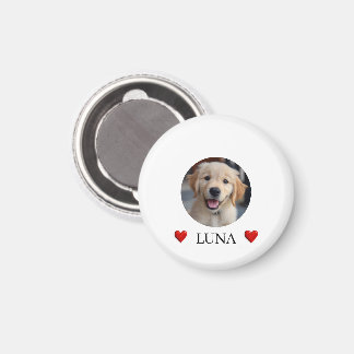 Min hund Personlig bild & namn & hjärtan Magnet