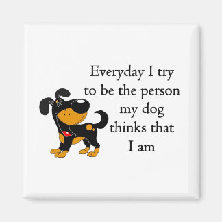 Min hund tror att jag är magnet