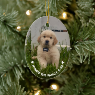 Min hunds julfoto julgransprydnad keramik