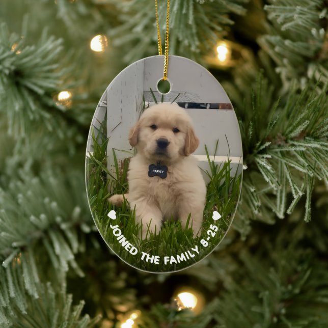 Min hunds julfoto julgransprydnad keramik (Träd)