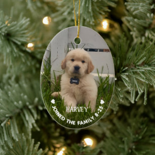 Min hunds julfoto julgransprydnad keramik
