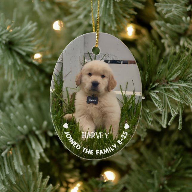Min hunds julfoto julgransprydnad keramik (Träd)