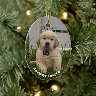 Min hunds julfoto julgransprydnad keramik