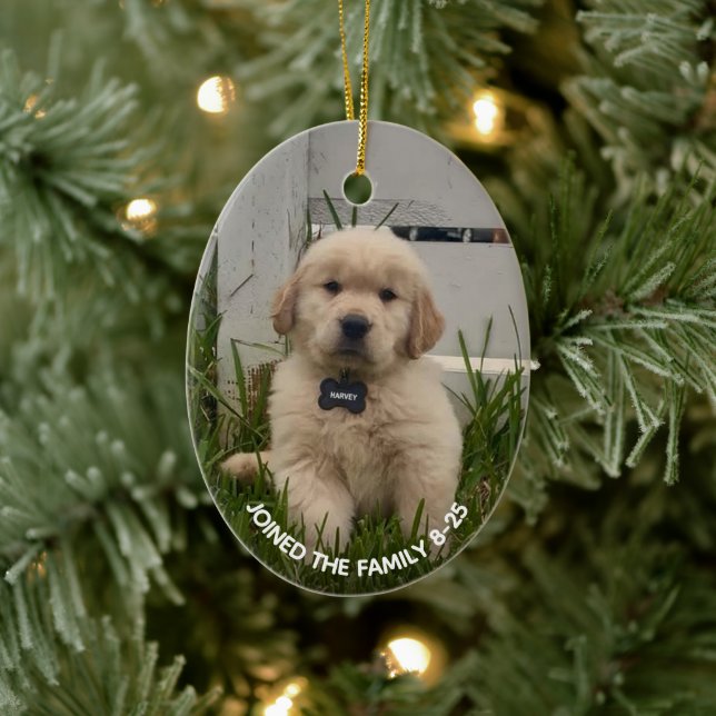 Min hunds julfoto julgransprydnad keramik (Träd)