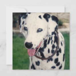 Min husdjurvän Uppdatera eget foto Anpassad Kort