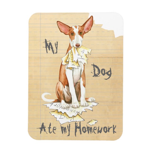 Min Ibizan Hound Ate Min hemläxa Magnet (Vertikal)