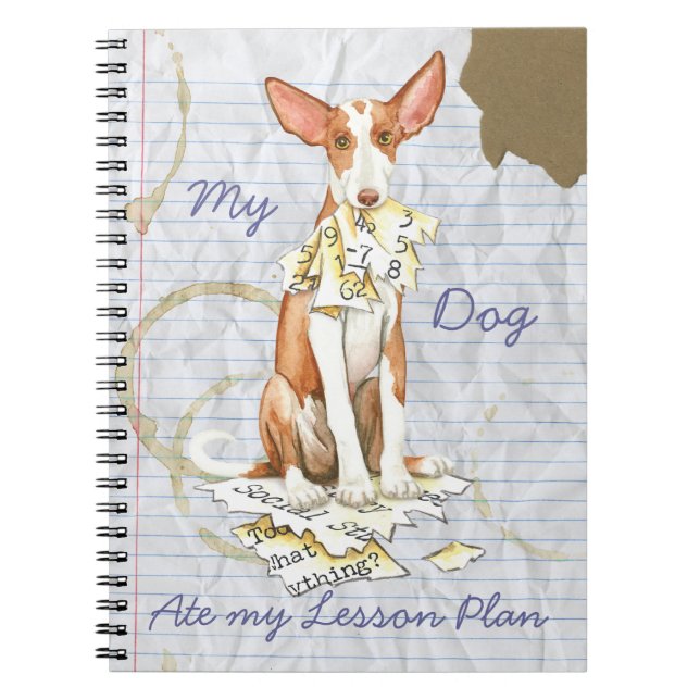 Min Ibizan Hound Ate Min lärlingsplan Anteckningsbok Med Spiral (Framsidan)