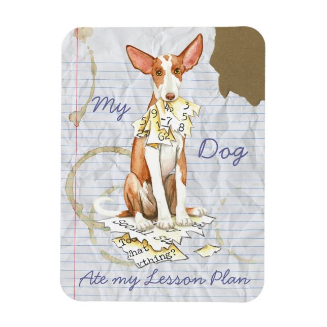 Min Ibizan Hound Ate Min lärlingsplan Magnet (Vertikal)