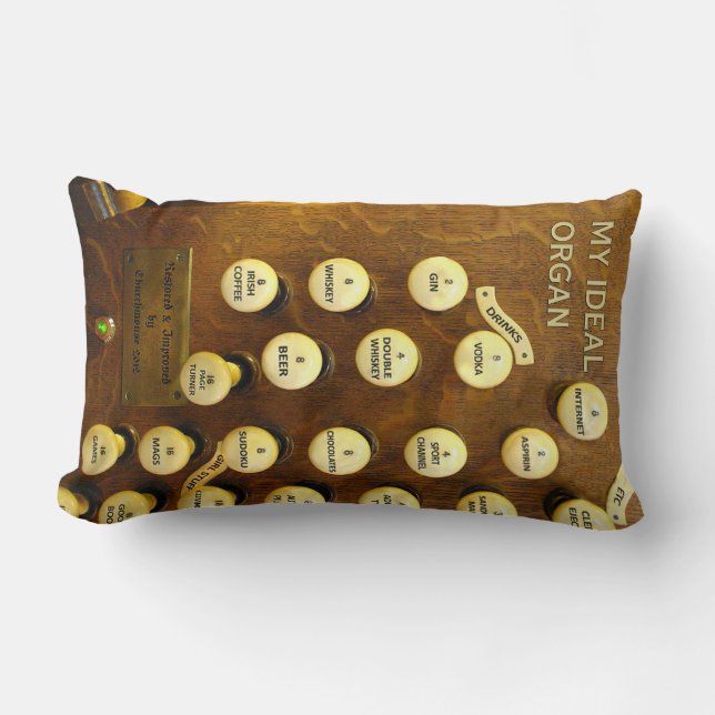 Min idealiska lumbalkudde lumbarkudde (Framsida)