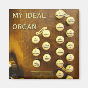 Min idealorganmagnet magnet