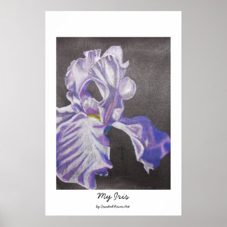 Min Iris Poster