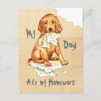 Min irländska setter Ate my Homwork Vykort