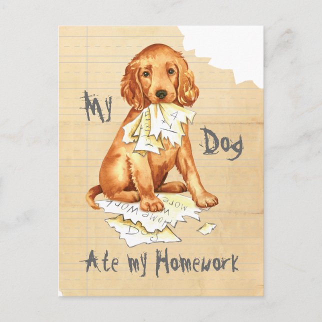Min irländska setter Ate my Homwork Vykort (Framsida)
