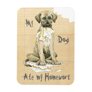 Min irländska Wolfhound åt min läxa Magnet