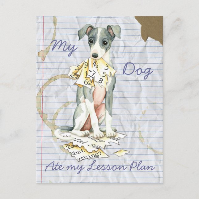 Min italienska Greyhound Ate My Lesson Plan Vykort (Framsida)