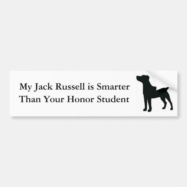 Min Jack Russell är smartare än din hedersstudent Bildekal (Framsidan)