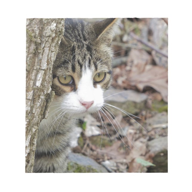 Min jakt Cat Anteckningsblock (Framsida)