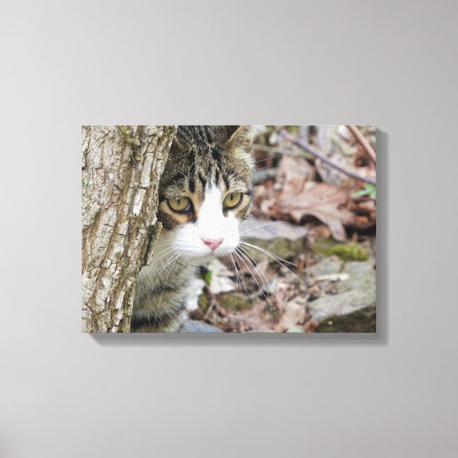 Min jakt Cat Canvastryck (Framsida)