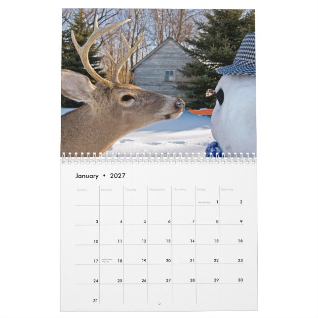 Min kalender (Jan 2027)