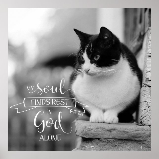 Min källa hittar viloläge - PS 62:1 Poster (Framsidan)