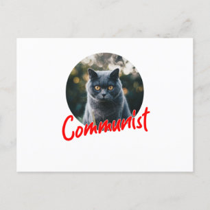 Min katt är kommunist helg vykort
