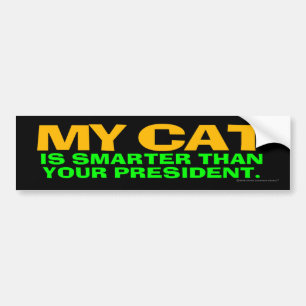 Min katt är mer smart än din president bildekal