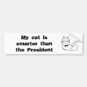 Min katt är mer smart än presidenten bildekal